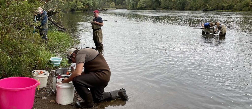 Photo: Students and faculty collect collect aquatic insects at Treehaven during their first on-site training session with BenthicNet.