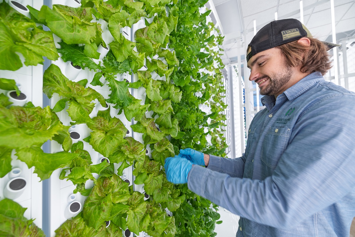 Collaboration creates a new way to provide healthy, local foods in Marshfield